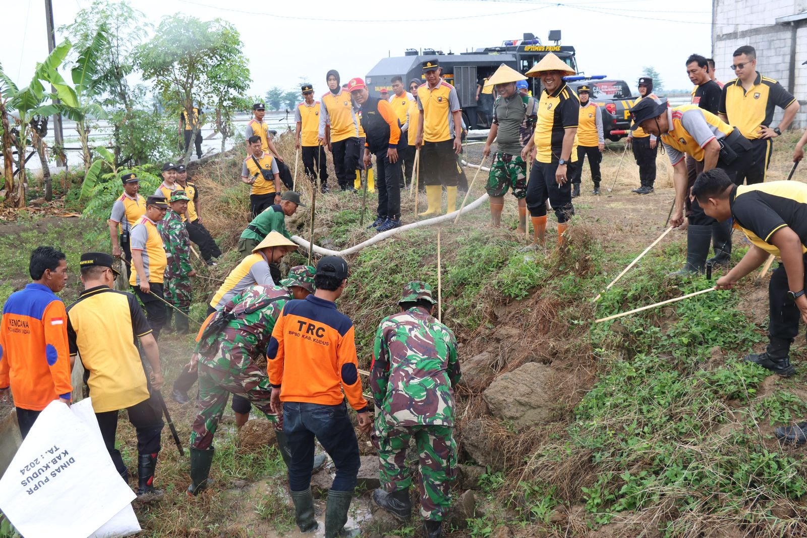 Hama Serang Padi, Polres Kudus Inisiasi Gropyok Tikus 