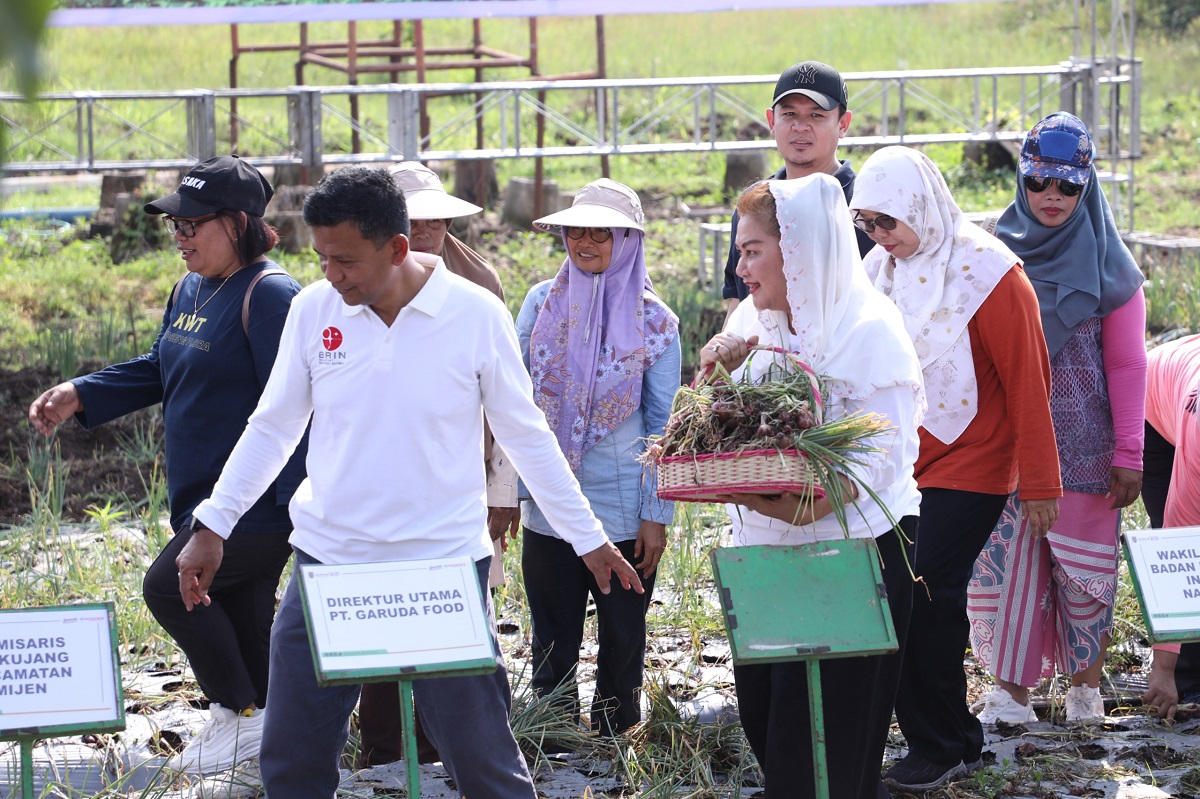 Inovasi Ketahanan Pangan, Pemkot Semarang Sukses Panen Bawang Merah Lokananta dan Maserati