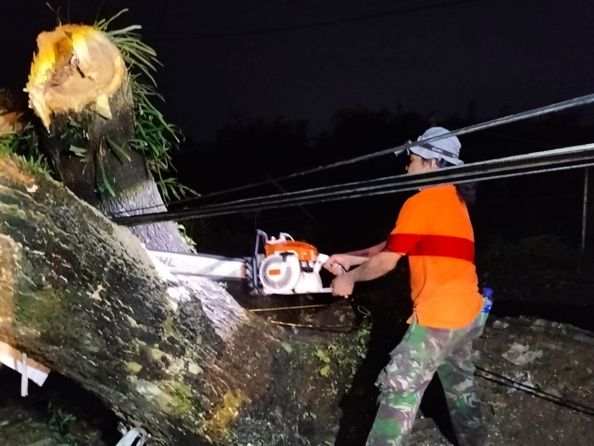 Angin Lesus Mengamuk di Kudus, Puluhan Rumah Rusak dan 38 Pohon Tumbang