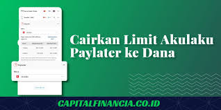 Apakah Paylater Akulaku Bisa Dicairkan Ke Rekening?