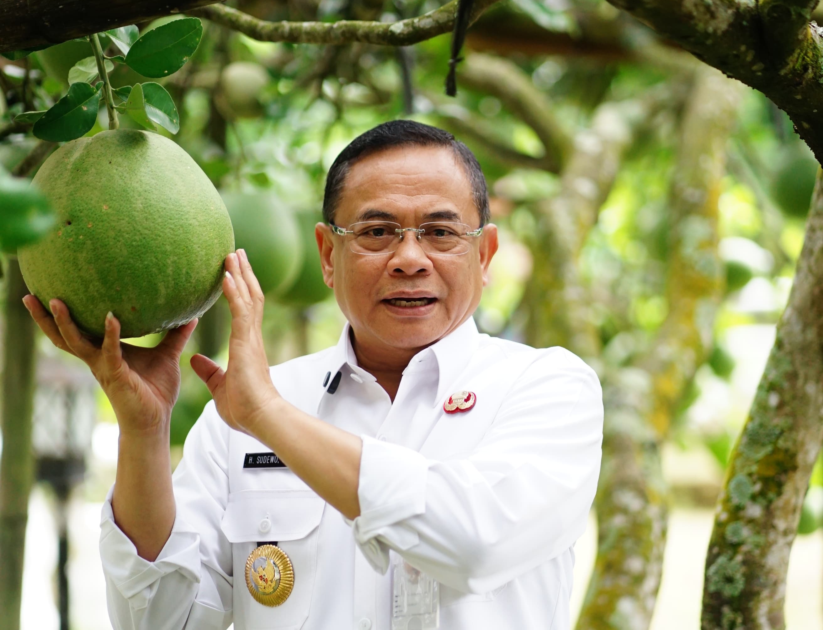 Ambisi Besar Durian Musangking dan Blackthorn plus Kopi Pati Merajai Pasar Indonesia 