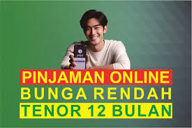 5 Pinjol Bunga Rendah,Tenor 12 Bulan dan Terdaftar OJK 