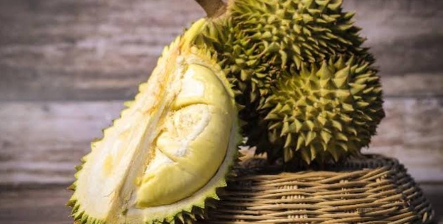 Ternyata Inilah Manfaat-Manfaat Buah Durian Bagi Kesehatan