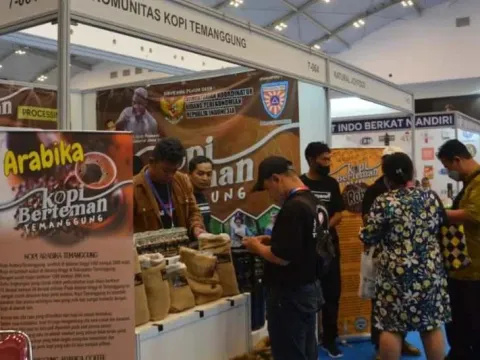 Mantap! Kopi Arabika Temanggung Pikat Konsumen Luar Negeri, Segera Dikirim 1 Ton ke Belanda 