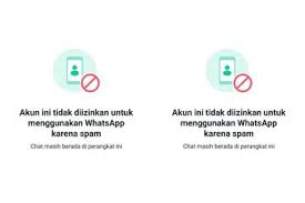 6 Cara Mengatasi Spam di Whatsapp yang Mengganggu