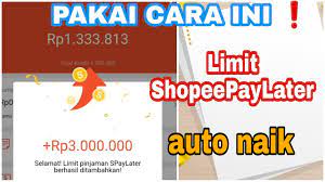 Begini Syarat dan Tips Menaikkan Limit Shopee PayLater dengan Mudah dan Cepat, Belanja Jadi Makin Seru!