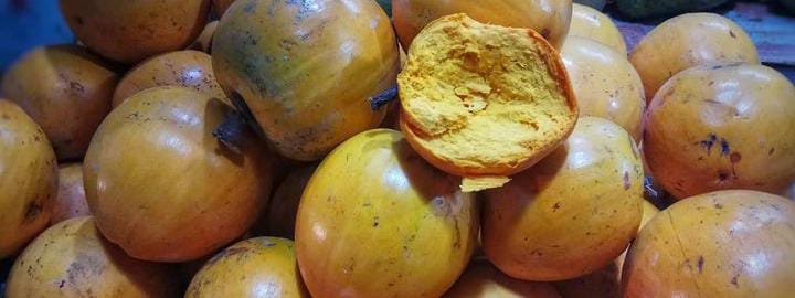 Ini Dia 5 Manfaat Buah Campolay Bagi Kesehatan, No 4 Baik untuk Mata