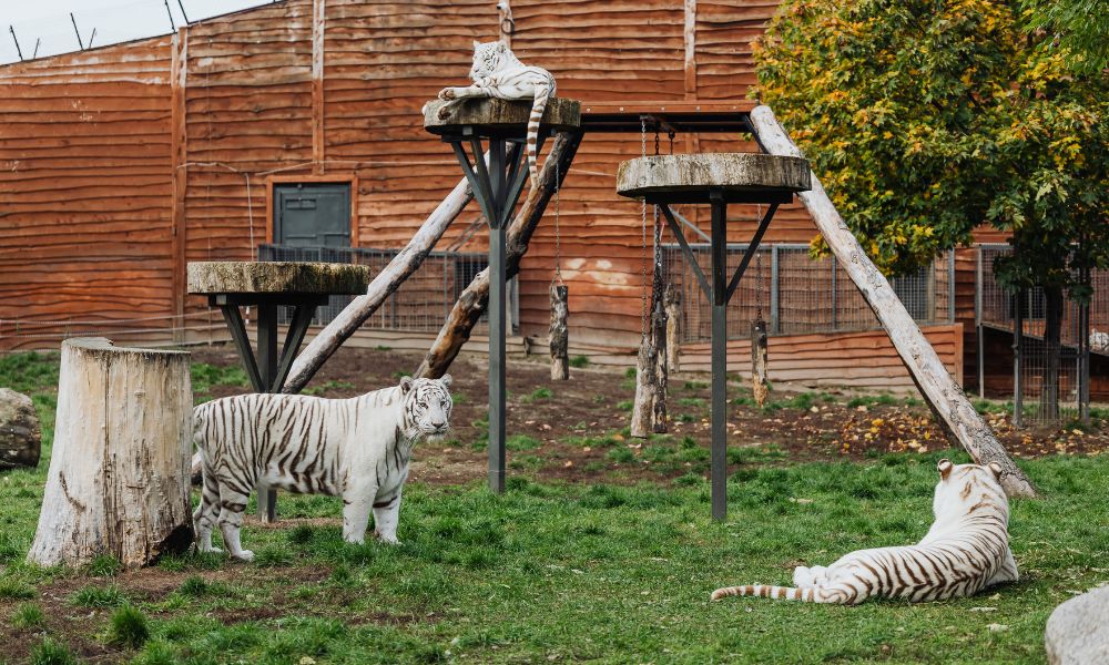 9 Wisata Edukasi di Semarang, Cocok untuk Liburan Bersama Sikecil