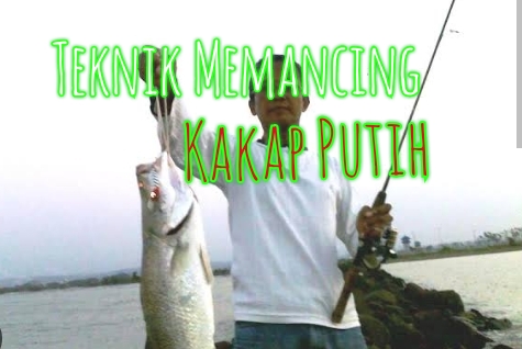 Memancing Kakap Putih Tidaklah Mudah, Pemancing Harus Tahu Tekniknya