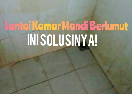 Lumut Pada Lantai Kamar Mandi Bahayakan Diri Anda, Hilangkan dengan Bahan Alami Ini