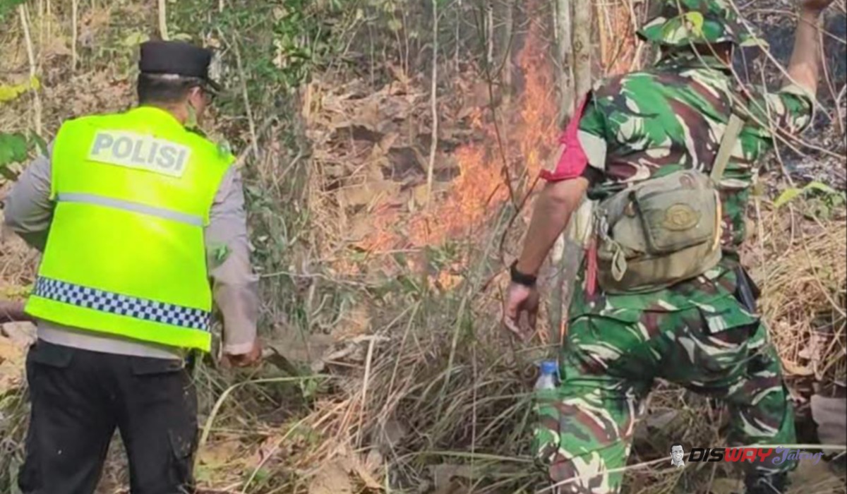 Kebakaran Hutan Perhutani di Buayan Kebumen, Dua Hektare Lahan Hangus