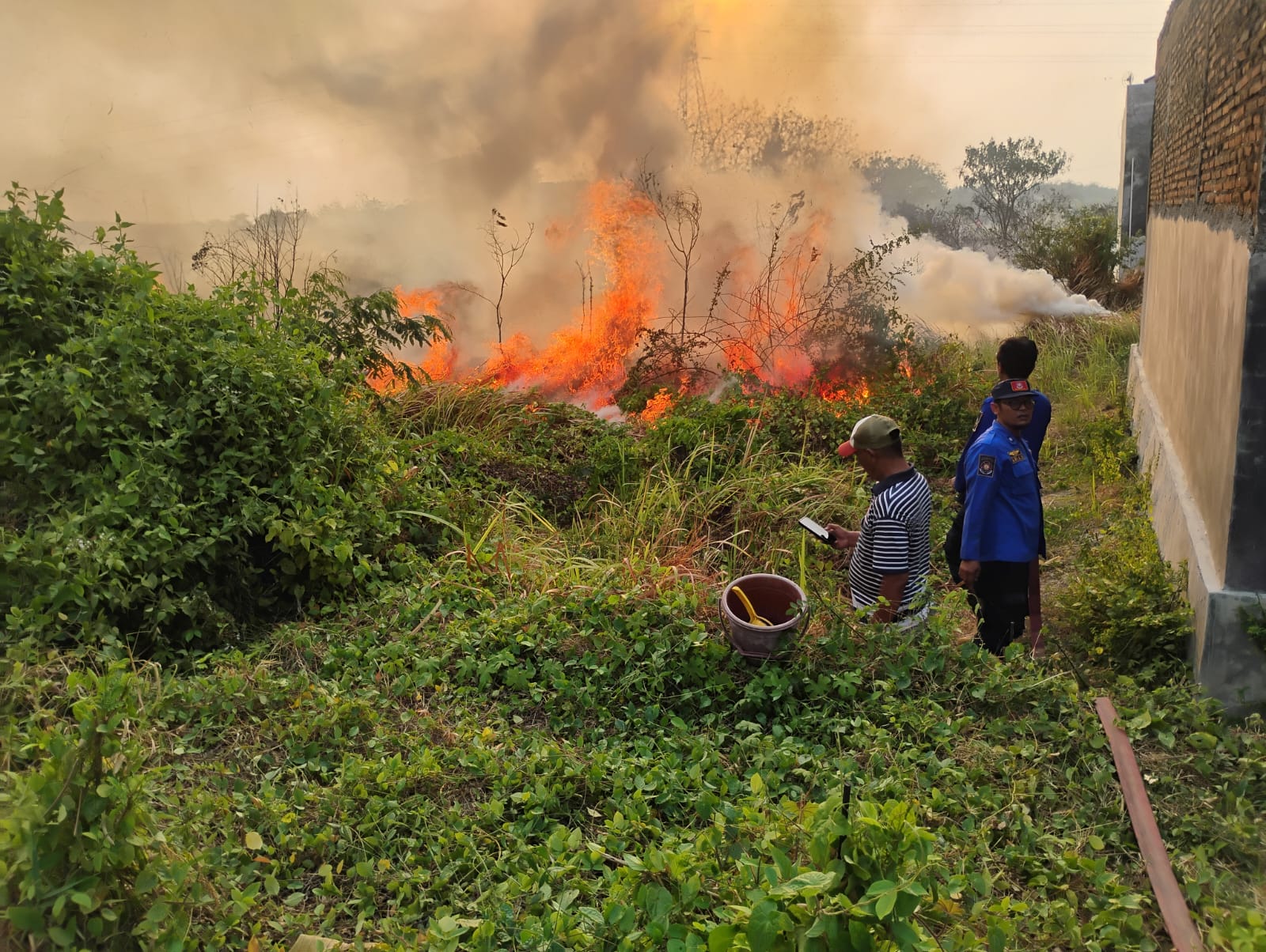 Api Lahap Lahan di Tegal Sehari Tiga Kali, Petugas Damkar Keliling Marathon
