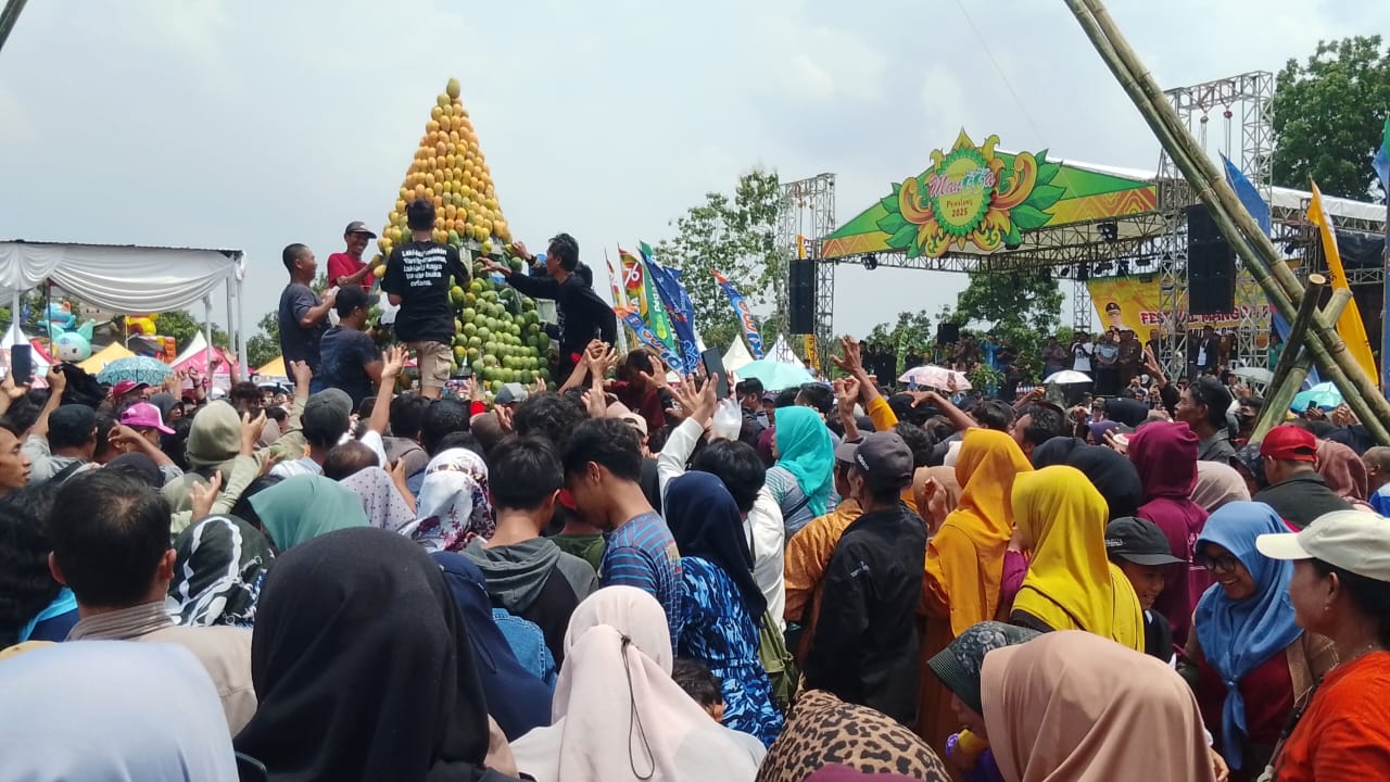 Festival Mangga di Desa Penggarit Pemalang, Kembangkan Ekonomi Desa