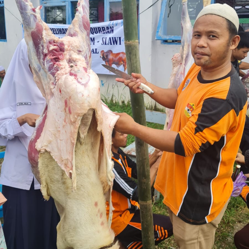 SMP IT Luqman Al Hakim Berkurban