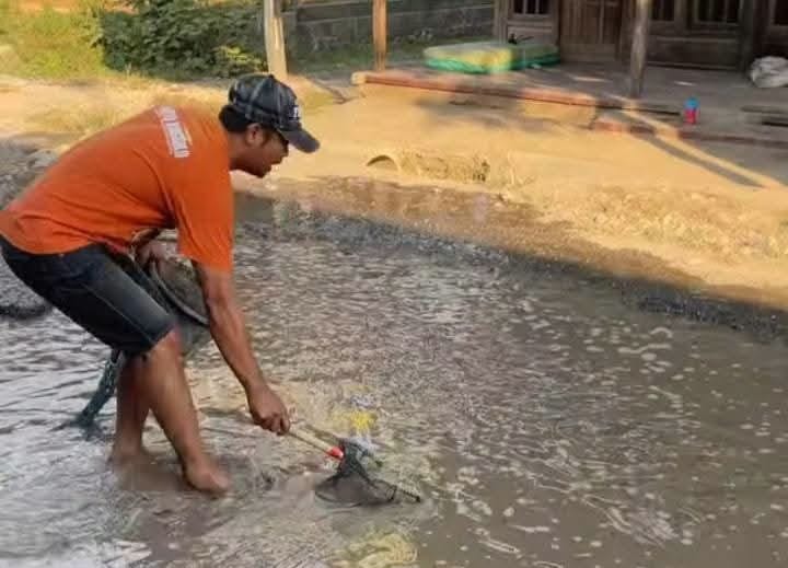 Warga Pati Tebar Lele di Jalan Rusak, Sindir Pemkab yang Tak Kunjung Memperbaiki