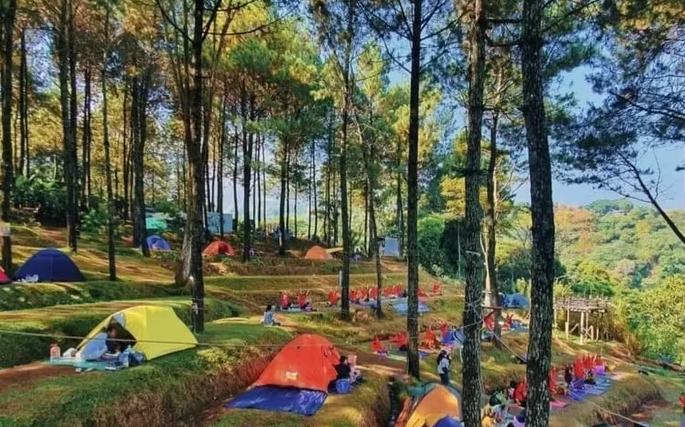 Wisata Alas Veenus Trawas, Spot camping Nomor Satu di Mojokerto