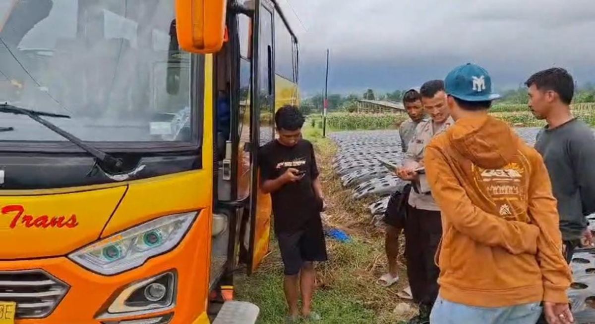 Viral! Bus Rombongan Pendaki Gunung Sumbing Terjebak di Area Pertanian Dekat Kuburan, Gegara Ikuti Google Maps