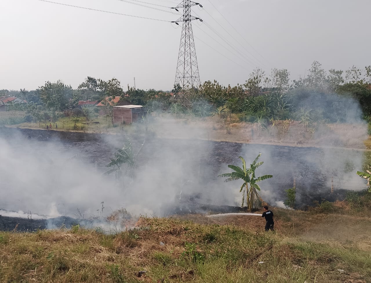 Setiap Hari Terjadi Kebakaran Lahan di Kabupaten Tegal