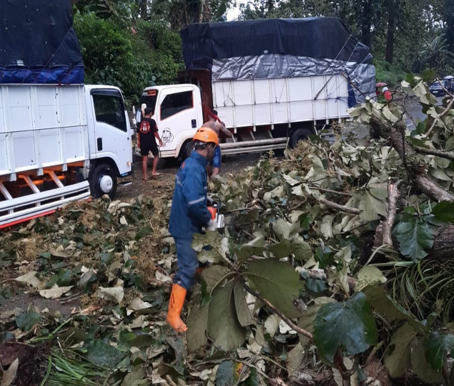 Hujan Angin Terjang Batang, 3 Warga Tewas Tertimpa Pohon hingga Tiang Listrik