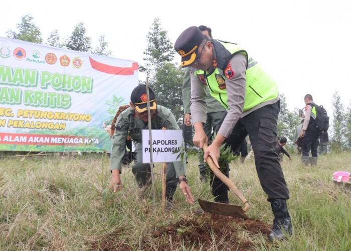 Jadi Lahan Pertanian Secara Ilegal, Aparat Gabungan Reforestasi Hutan Lindung di Petungkriyono 