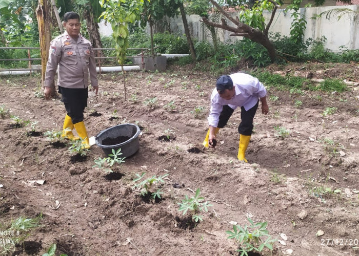 Polres Tegal Manfaatkan Lahan Kosong untuk Program Ketahanan Pangan