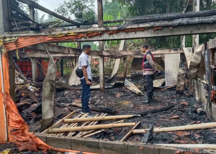 Ditinggal Tidur, Kandang Berisi Ribuan Ayam Ludes Terbakar