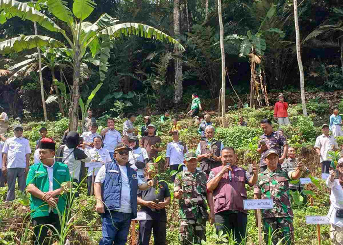 Hutan Wonosobo Kritis, Jatubu Ancam Turun ke Jalan Jika Kerusakan Lingkungan Dibiarkan