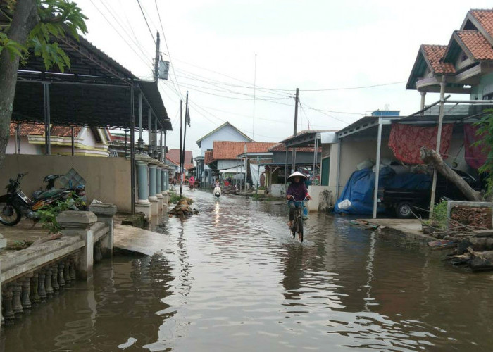 Banjir Rob Rendam Rumah Warga di Pemalang