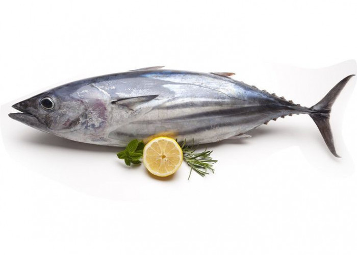 7 Daftar Manfaat Ikan Tuna Untuk Kesehatan, Salah Satunya Bikin Otak Encer