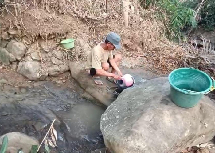 Dua Bulan Tak Hujan, Warga Dukuhbangsa Tegal Gunakan Air Sawah  