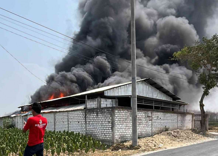 Gudang Rosok di Japeledok Pancur Rembang Ludes Terbakar, Diduga Akibat Bakar Sampah Plastik