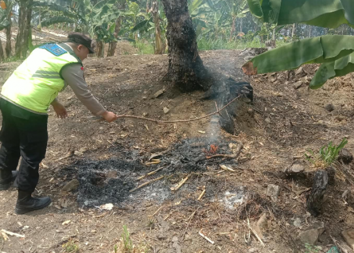 Polsek Juwangi Gerak Cepat Verifikasi Hotspot Sipongi, Sumber Api dari Lahan Milik Perhutani