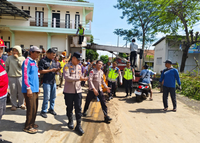 Pangkas Ranting Pohon di Kandeman,  Warga Batang Tewas Tersengat Listrik