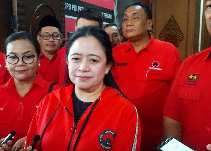 Menang di 19 Kabupaten dan Kota, Puan Maharani: Biar Masyarakat yang Menilai, Masih Kandang Banteng atau Tidak