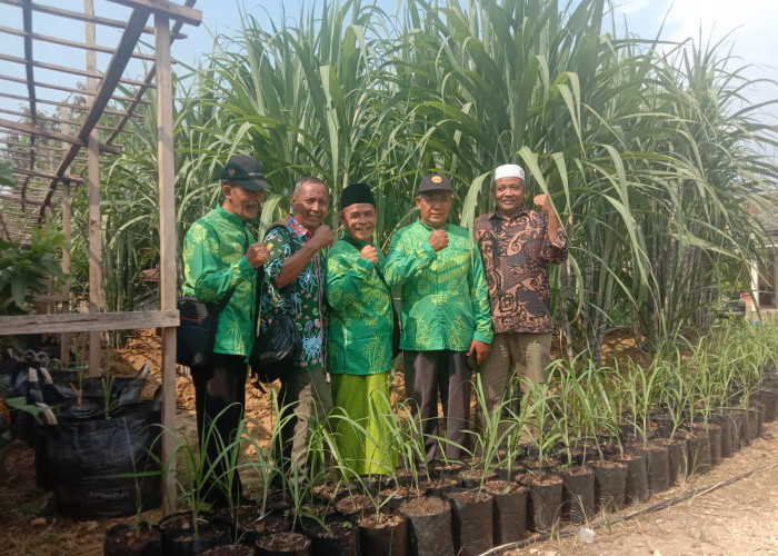 APTRI Blora Klaim Prospek Pengembangan Areal Tebu di 2025 akan Lebih Baik