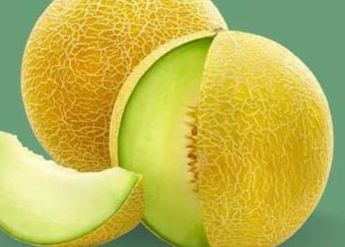 5 Khasiat Buah Melon yang Bagus untuk MPASI pada Bayi