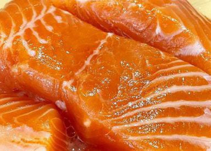 Ini Dia 5 Manfaat Daging Ikan Salmon untuk Kesehatan Tubuh Kita