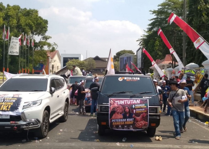 Peternak Pati Tercekik Harga Pakan, Pemerintah Temui Kementan Cari Jalan Keluar