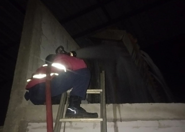 Sarang Tawon Raksasa Gegerkan Warga Batang, Damkar Evakuasi Malam-malam