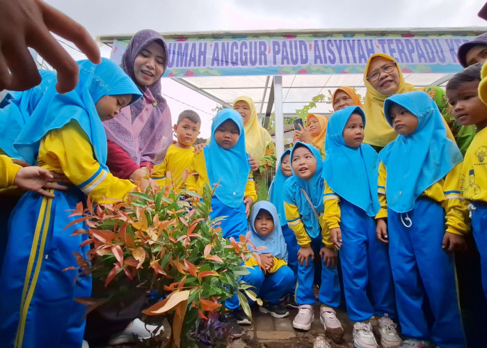 Hibah Pohon Anggur Warnai Aksi Tanam Sejuta Pohon di TK ABA Kebagusan