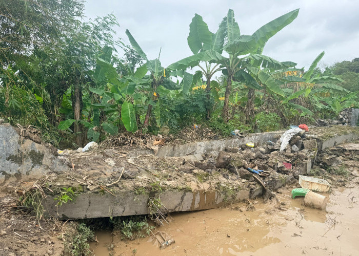 Talud Perumahan Rowosari Megah Asri 2 Semarang Jebol, Warga Tembalang Desak Pembuatan Tanggul Darurat 