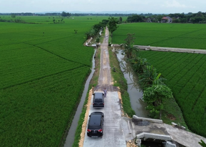 Dua Ruas Jalan Strategis di Grobogan Mulai Dicor, Ini Lokasinya