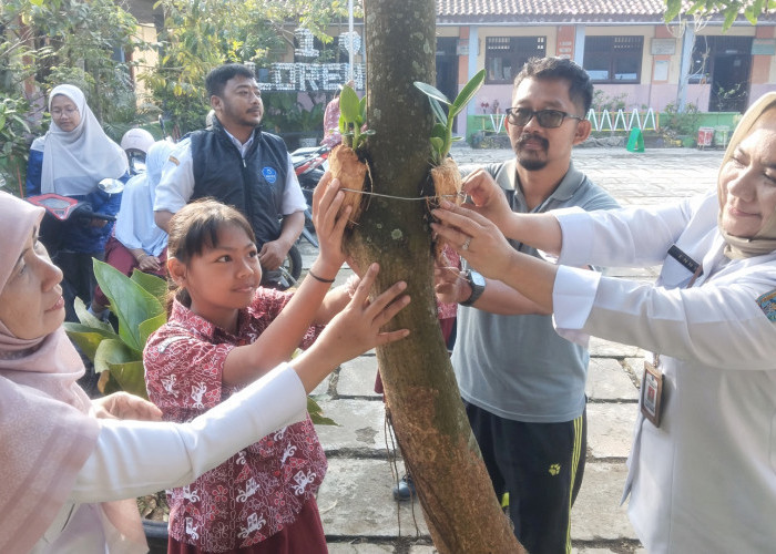 Mau Tahu 1.276 Bibit Tanaman Anggrek Hasil Rekor LEPRID di Salatiga, Kemana? 