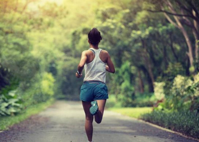Apakah Jogging Sore Menyehatkan? Berikut 8 Manfaat Jogging Sore Bagi Kesehatan yang Wajib Diketahui