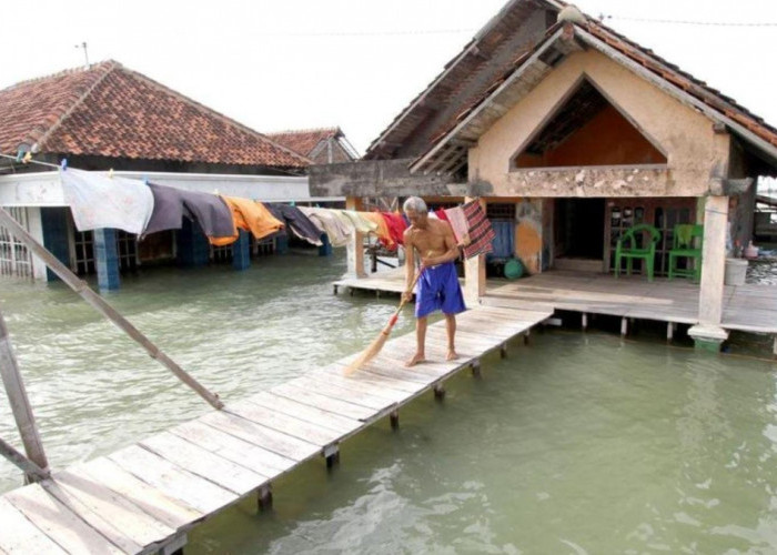 Tanah Sayung Turun hingga 20 Sentimeter per Tahun, Timbulsloko Hadapi Ancaman Rob Berulang
