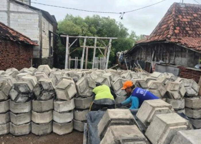 Warga Timbulsloko Ikut Produksi HexBRIck, Perlindungan Pesisir Sekaligus Buka Peluang Ekonomi