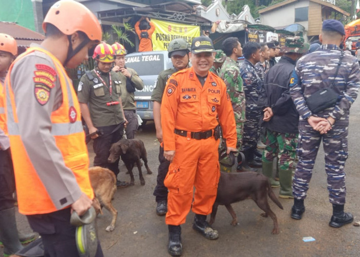 Banjir dan Tanah Longsor di Pekalongan, Pemkot Semarang Terjunkan Satpol PP Unit K9 untuk Membantu Pencarian 