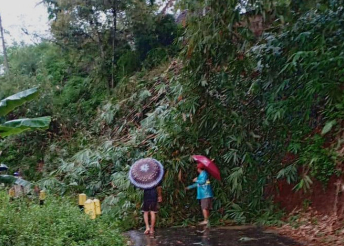 Sempat Menutup Akses Jalan, Longsoran Dapuran Bambu Ancam Sejumlah Rumah di Purworejo