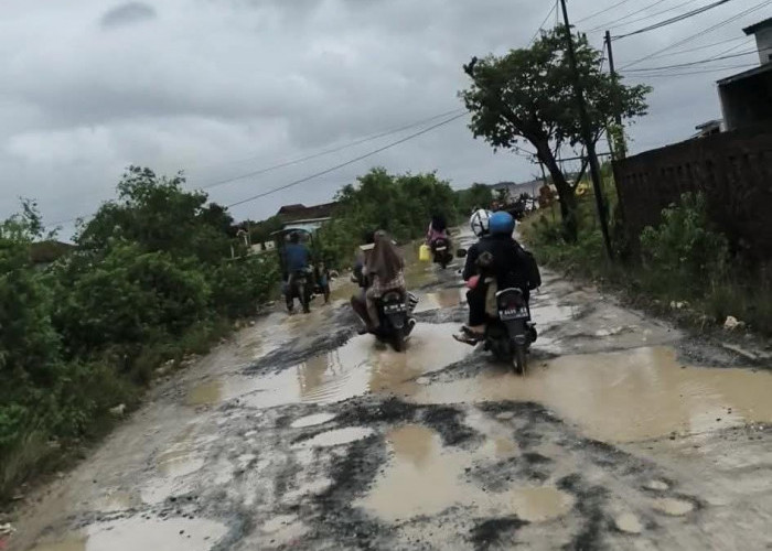 Jalan Purworejo Bonang Demak Rusak Parah dan Tergenang Air, Warga : Sudah Banyak Korban