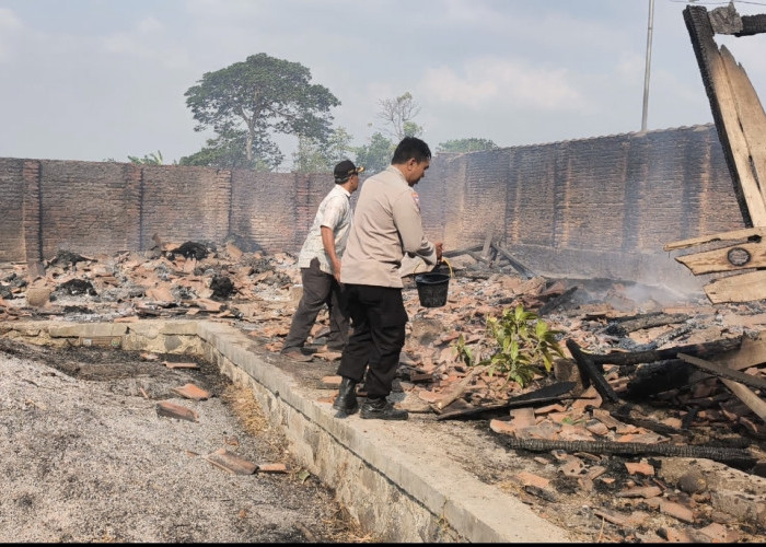 Kandang Kambing Bumdes Pamiritan Tegal Ludes Terbakar, 75 Ekor Ternak Dievakuasi Dramatis